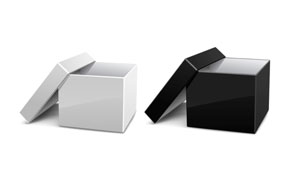 Black Box/White Box: A Primer on Network Penetration Testing