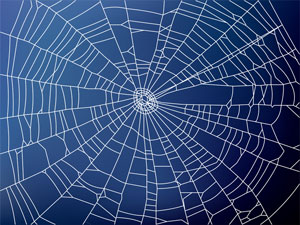 NCUA May Be Weaving a Tangled Web