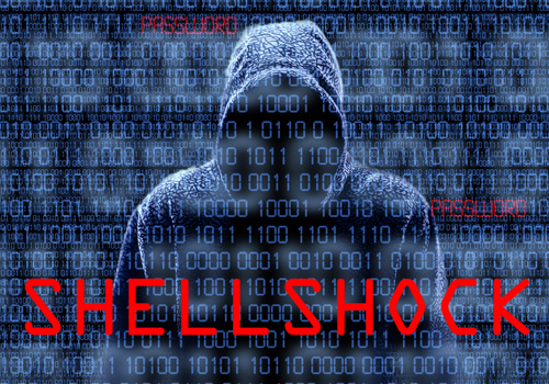 Shellshock Bashes Systems