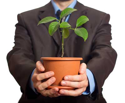 NCUA: It Is Easy Being Green