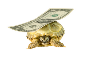 Slow Going: CFPB Report Chronicles Student Loan Challenges
