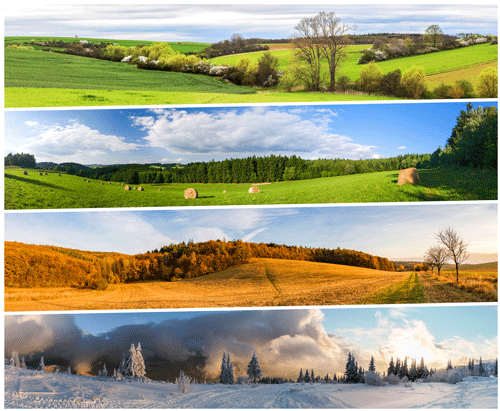 Tips for Navigating the Changing Seasons of the Regulatory Environment