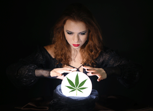 Foggy Future for Marijuana Under Trump Administration