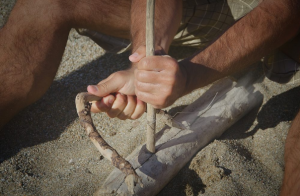 BSA/AML Systems Survivor