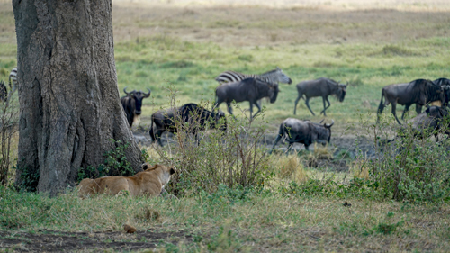 Cybersecurity Guide for Smaller Institutions: How to Not Be Easy Prey