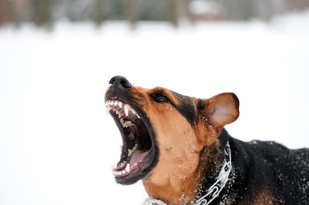 SAFE Act Exceptions: Compliance Officer’s Best Friend?
